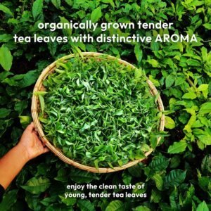Assam Green Tea
